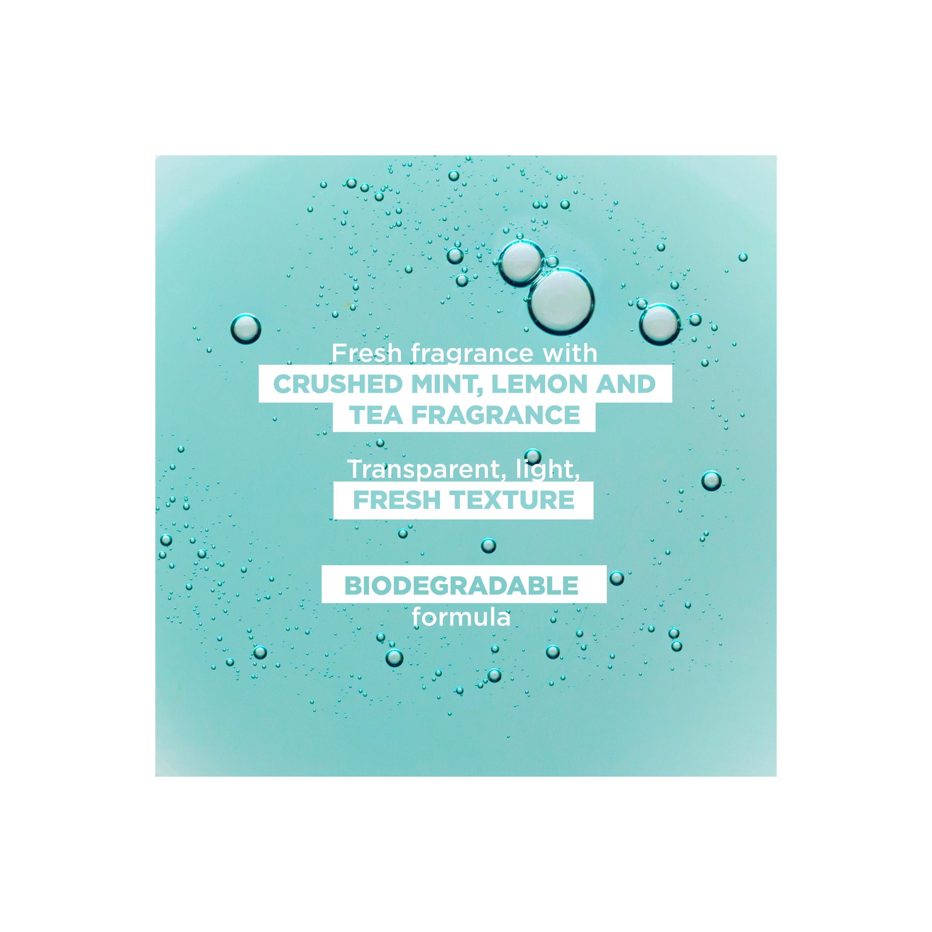 KLORANE Shampoo Wasserminze Bio Fl 200 ml