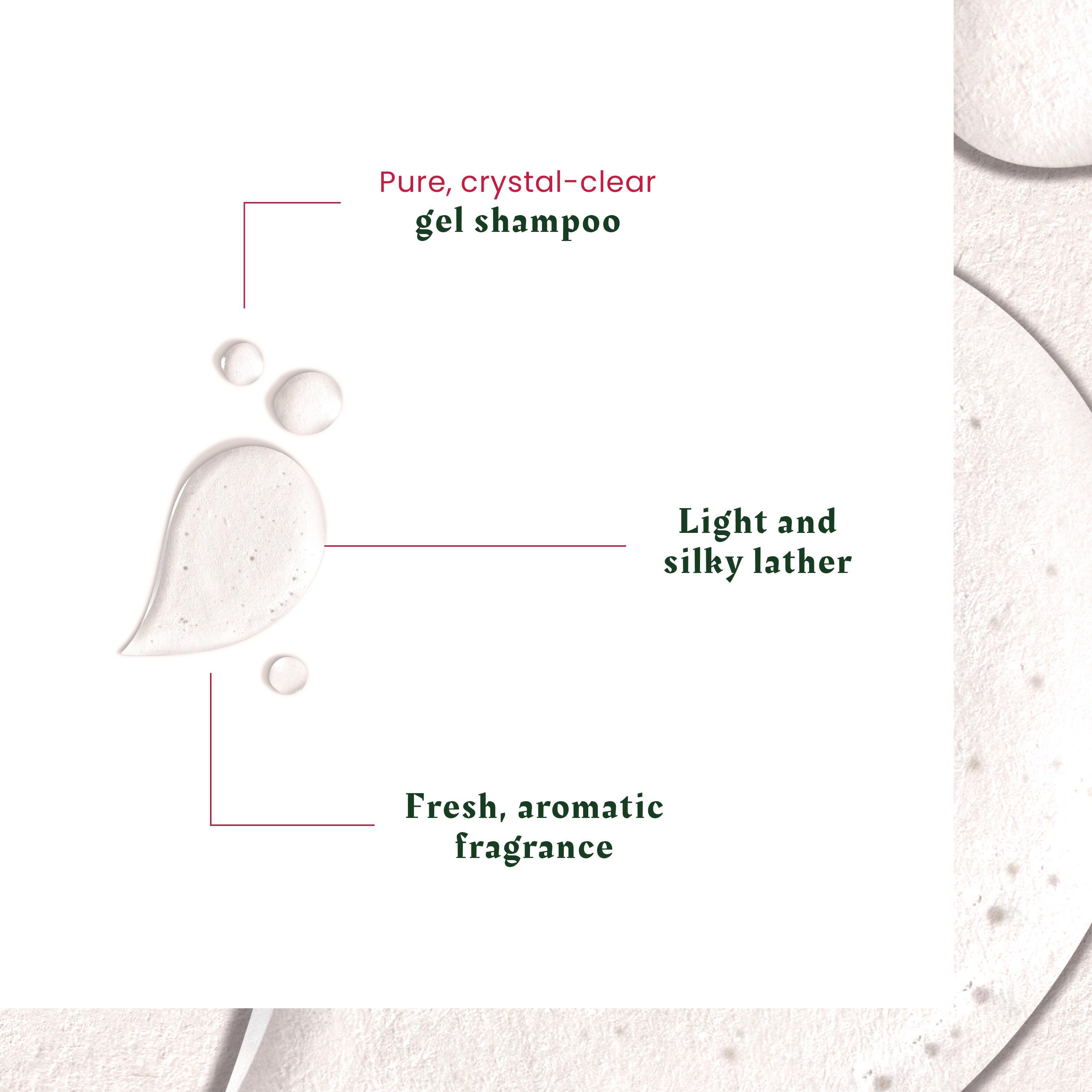 FURTERER Neopur Shampoo fettige Schuppen 150 ml