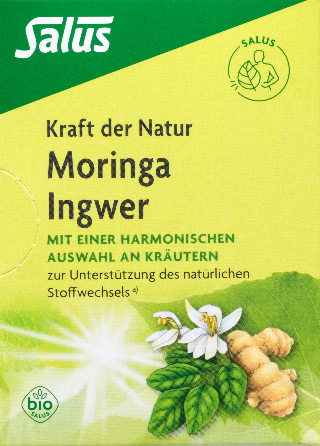 SALUS Tee Moringa Ingwer Bio Btl 15 Stk