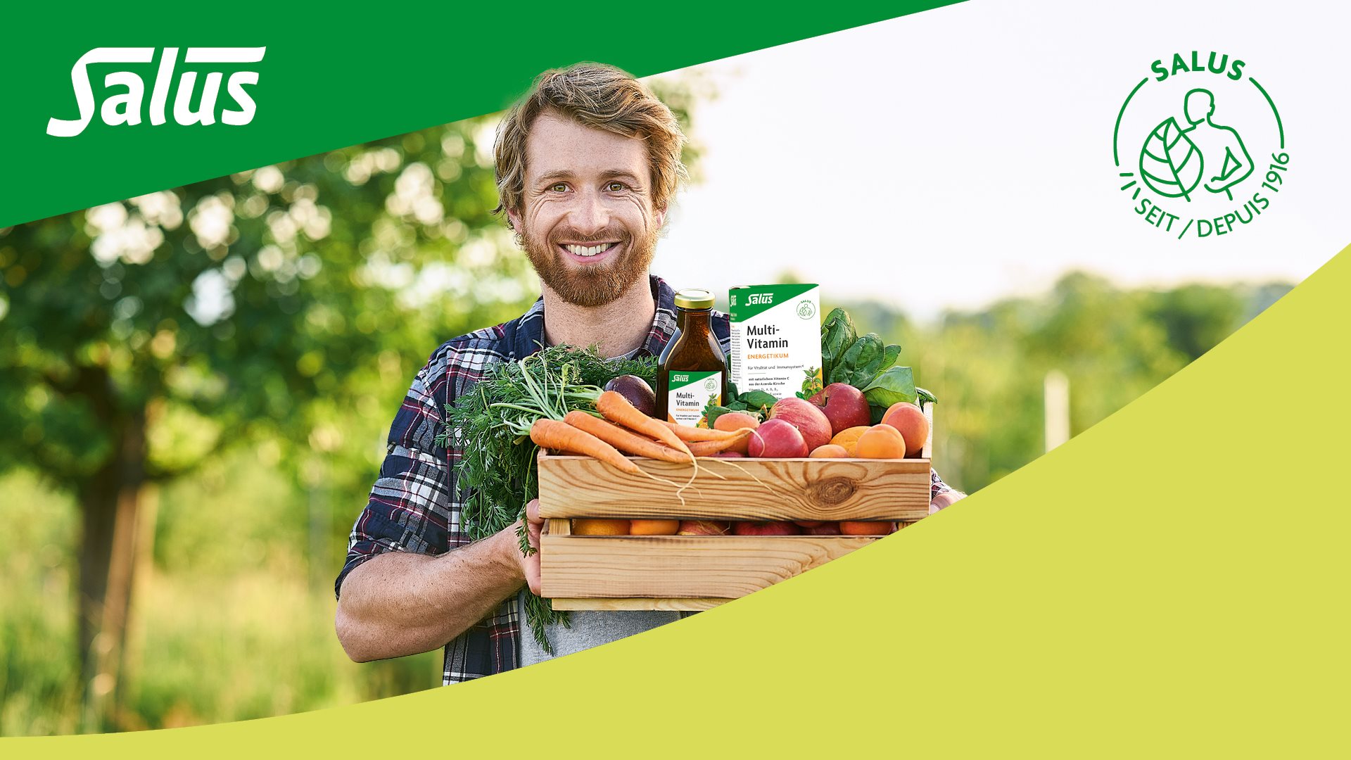 SALUS Tee Moringa Ingwer Bio Btl 15 Stk