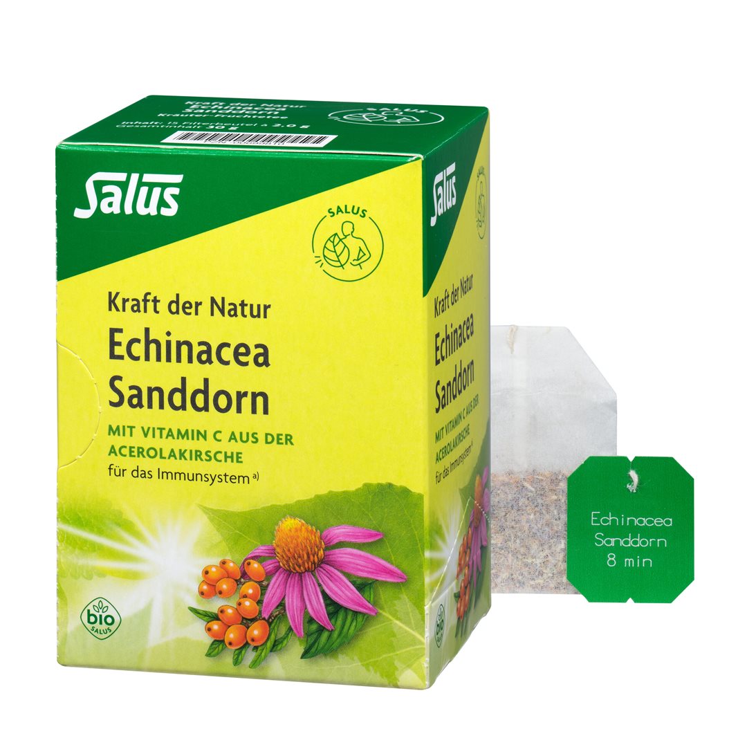 SALUS Tee Echinacea Sanddorn Bio Btl 15 Stk