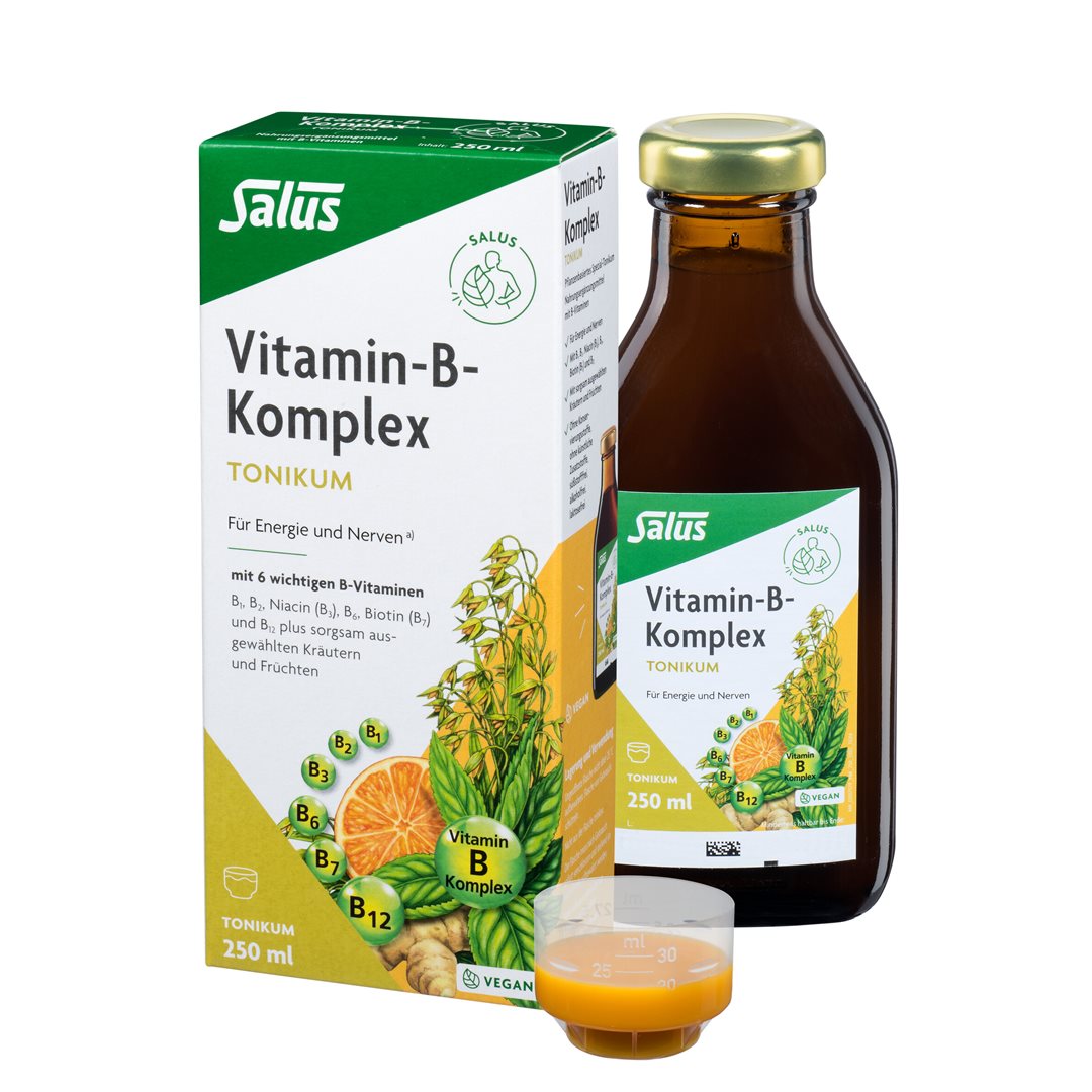 SALUS Vitamin-B-Komplex Tonikum Fl 250 ml