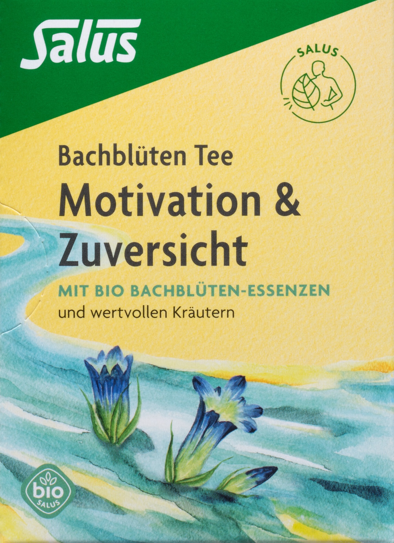SALUS Bach Tee Motivation & Zuversi Bio Btl 15 Stk