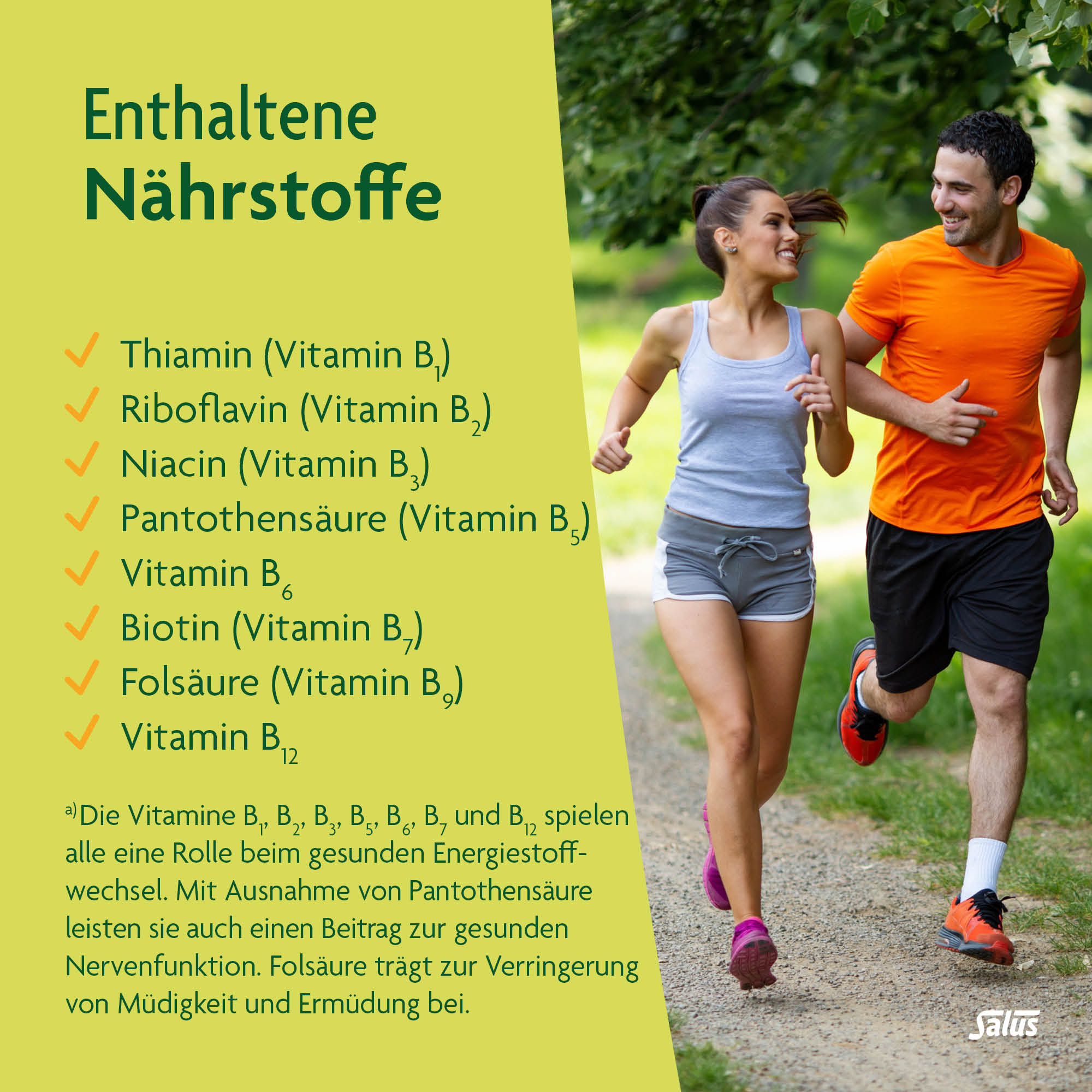 SALUS Vitamin-B-Komplex Kaps 60 Stk