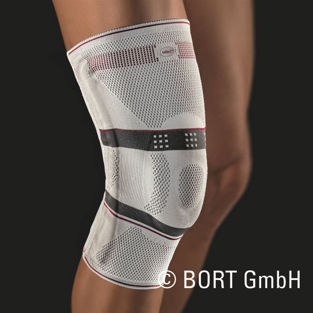 BORT select StabiloGen 4+ silber