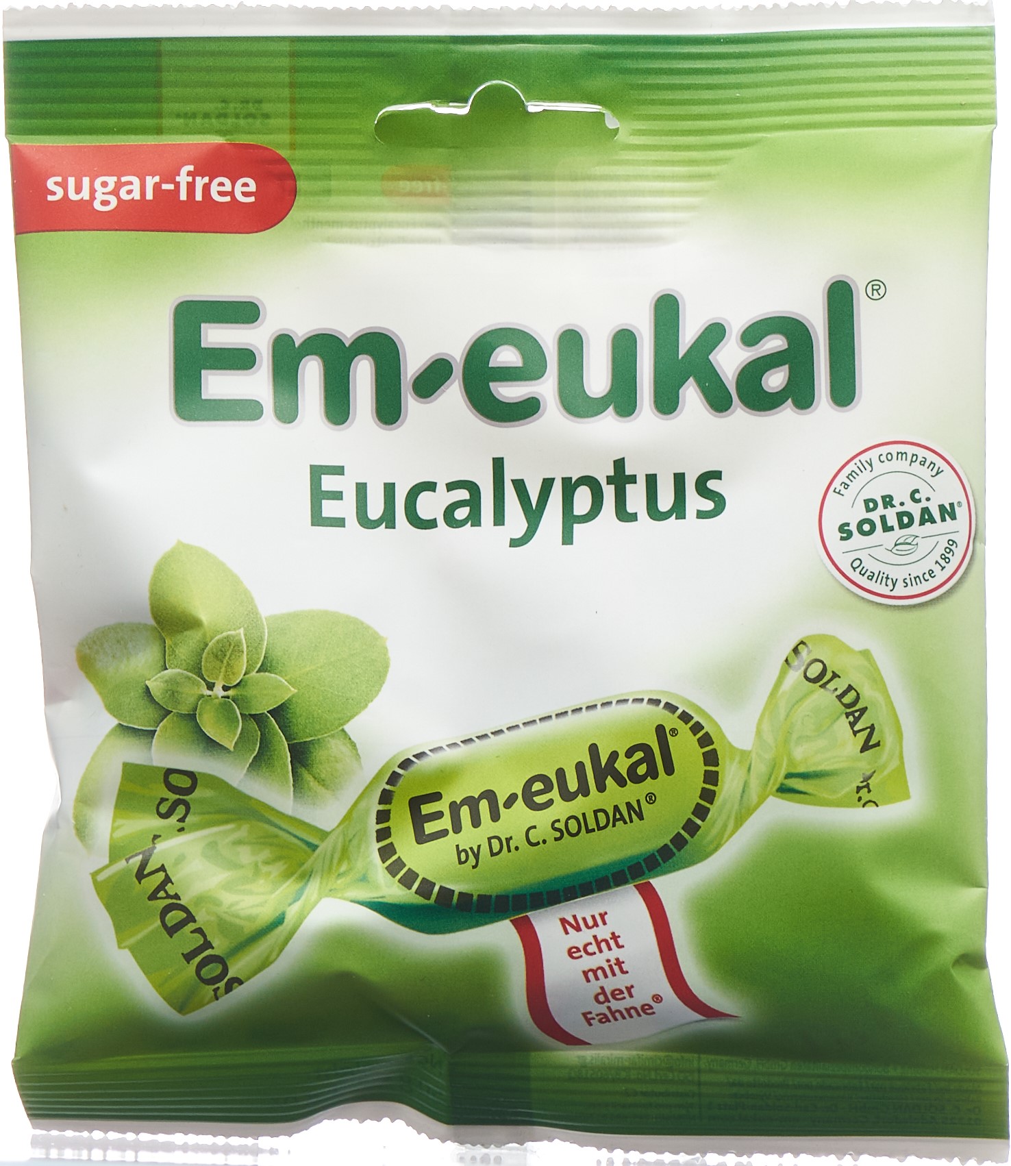 SOLDAN EM-EUKAL Eucalyptus zuckerfrei Btl 50 g