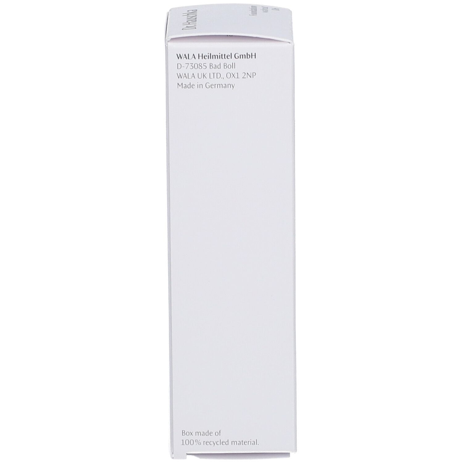 DR. HAUSCHKA Foundation 06 walnut 30 ml