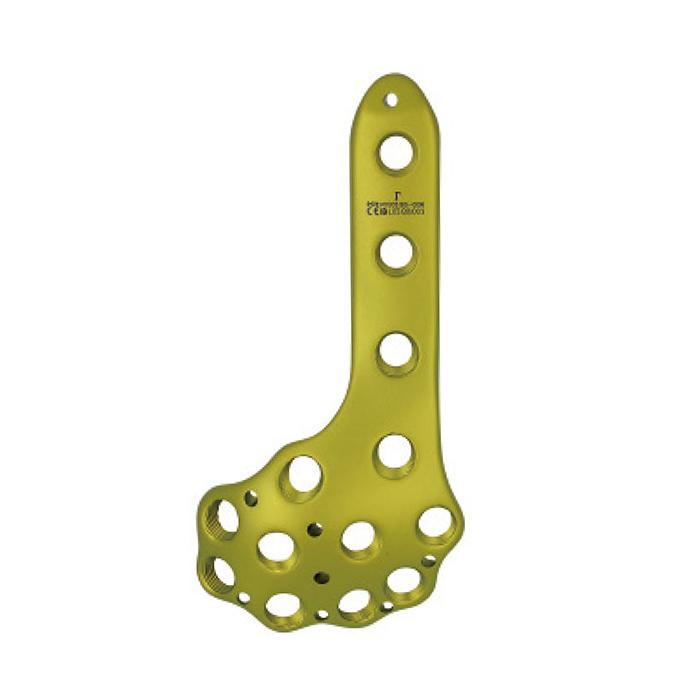 Trial Condylar Replacement