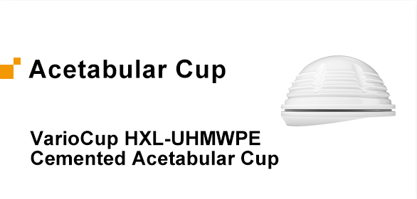 Endo-Model® UHMWPE Acetabular Cup