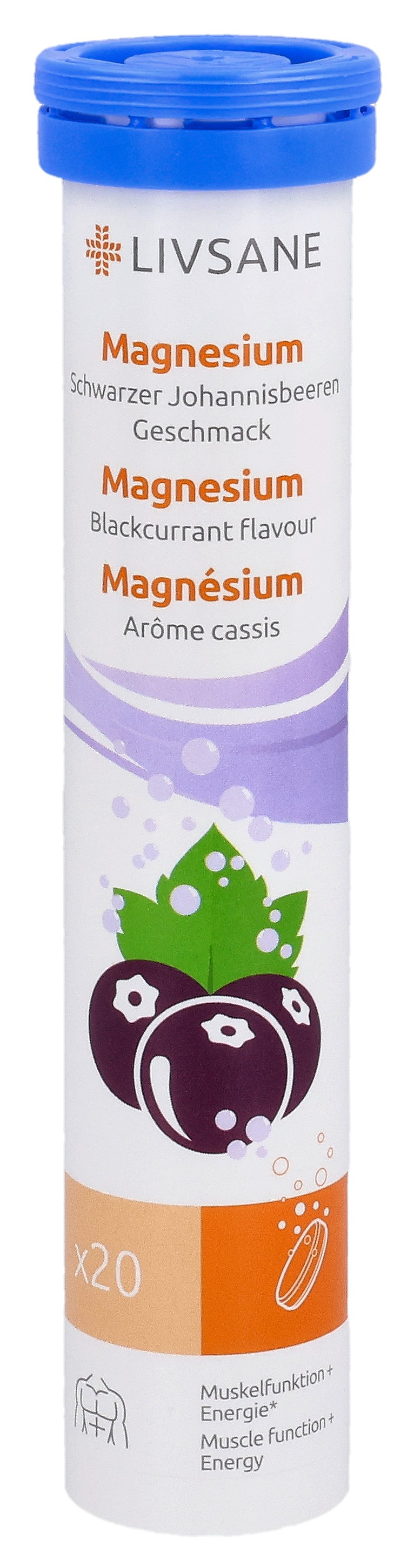 LIVSANE Magnesium Schwarzer Johannisbeeren 20 Stk
