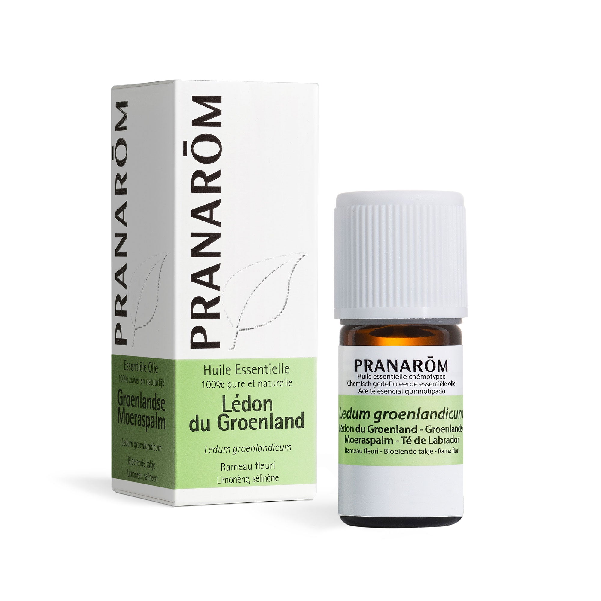 PRANAROM Huile Essentielle Lédon du Groenland 5 ml