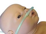 NASAL CANNULA 13320 PREMATURE