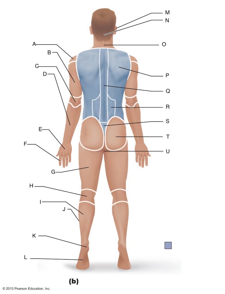 POSTERIOR BODY RESECTOR 7480512 20MM