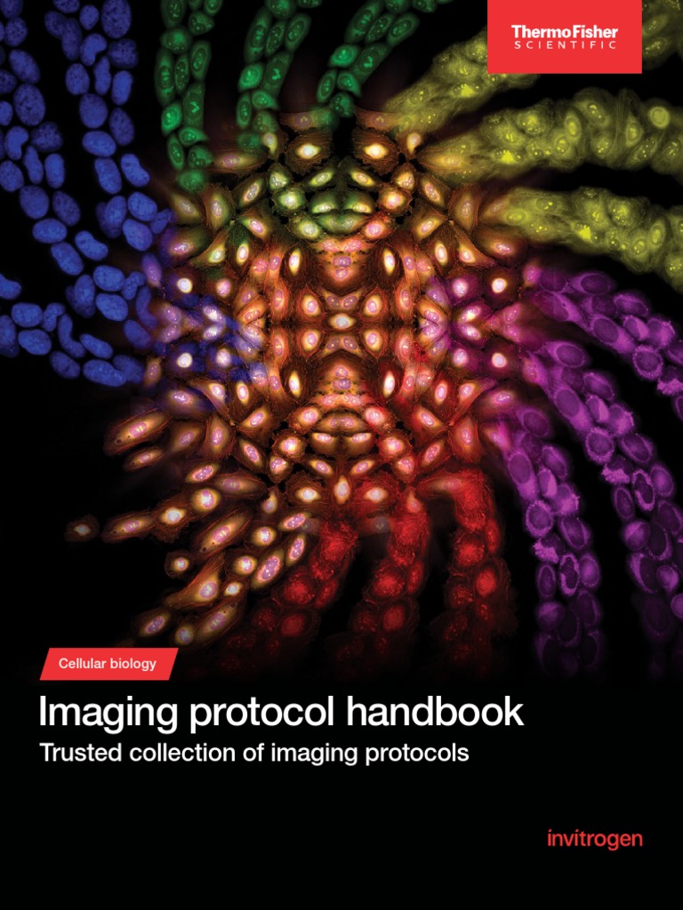 INSTR 9732379CS IMAGING PROTOCOL
