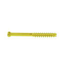 SCREW 6959430PT 4.0 X 30MM CANN PT MAS