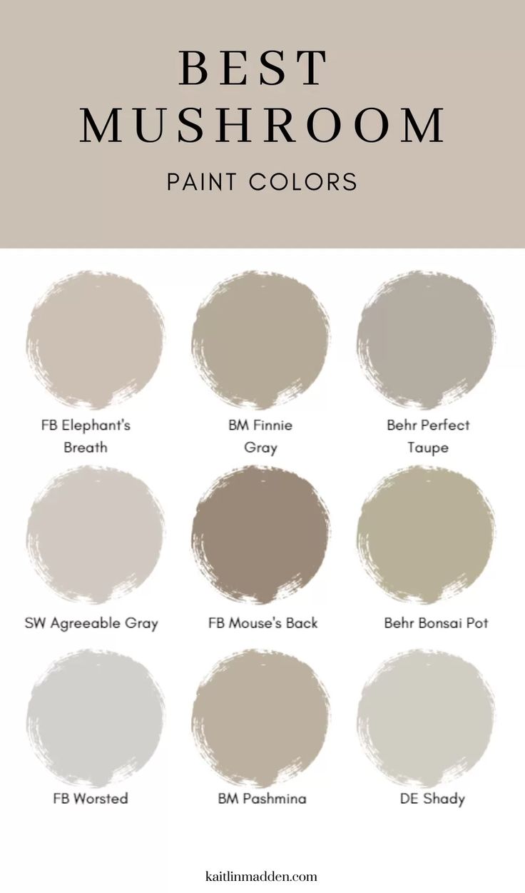 PAINT BI90000009 TOUCH UP MUSHROOM COLOR