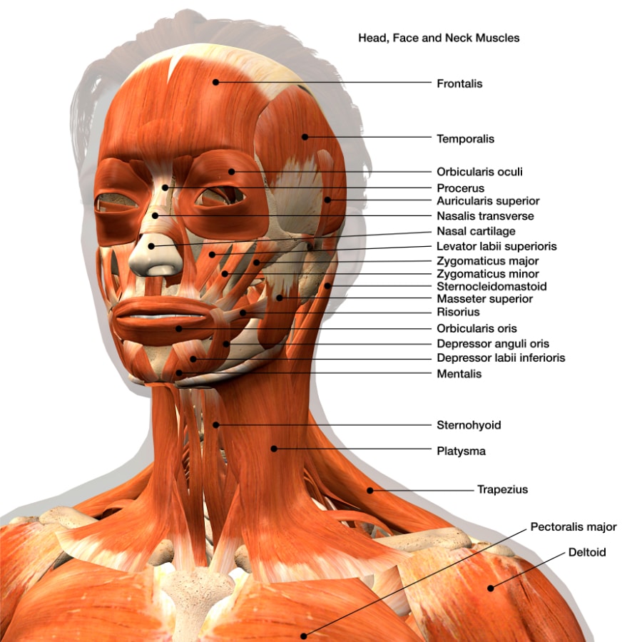 HEAD FRAME 9733445 EM ENT