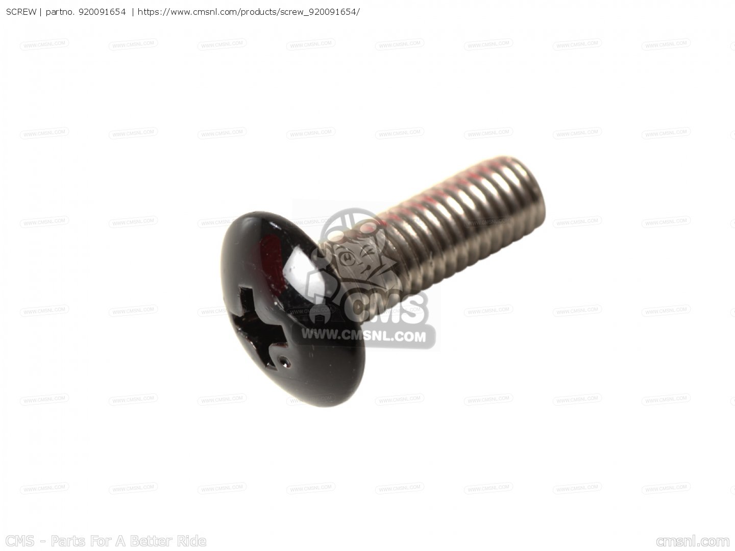 SCREW G6958846 4.0 X 46MM MAS STR