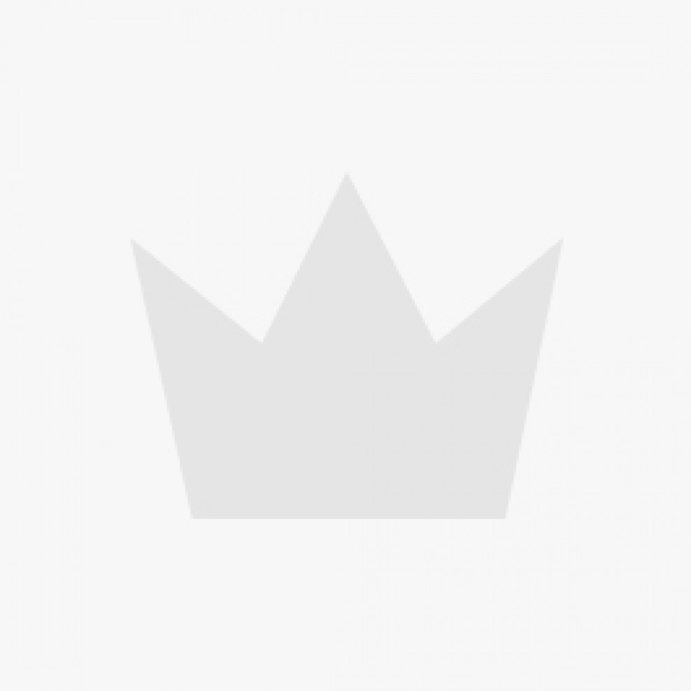 SCREW G6958810 4.0 X 10MM MAS STR