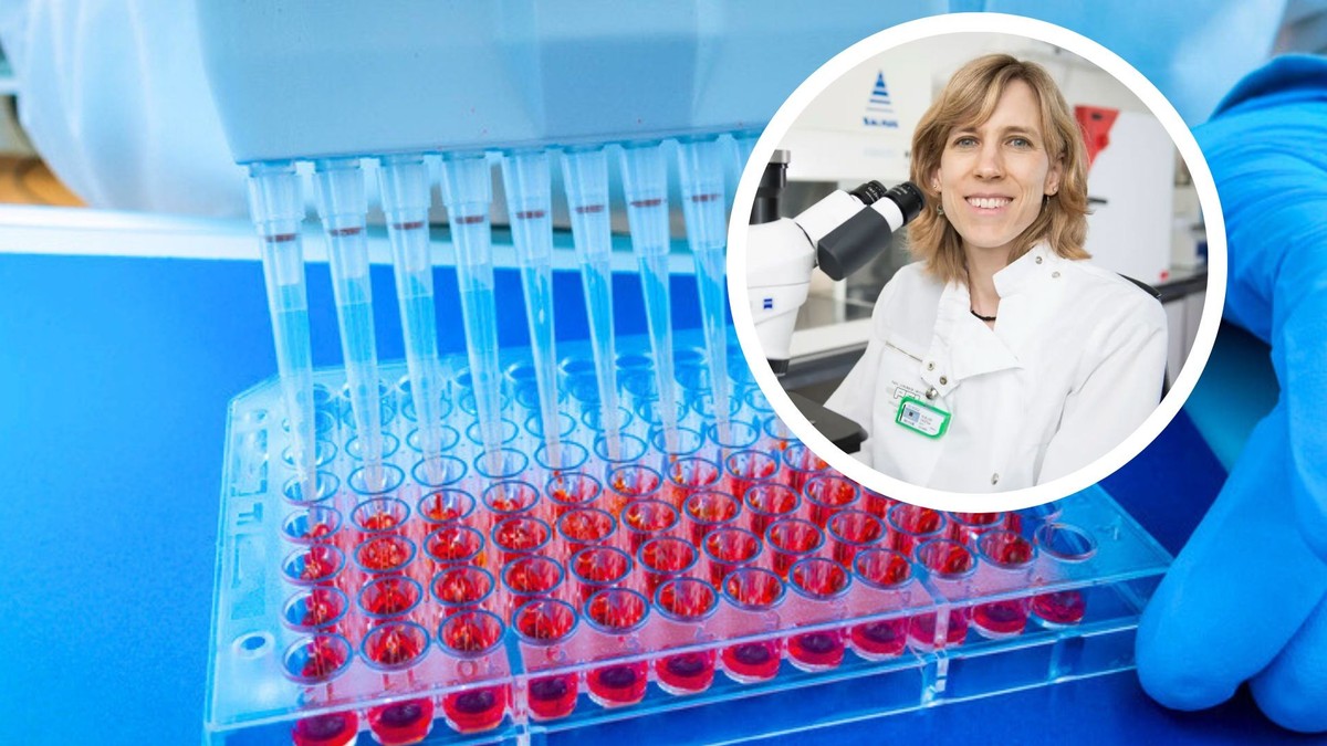 TUBE LEGEND 15CM T15 TELE STRAIGHT