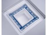 CASE 2984004 CAPSTONE PMI