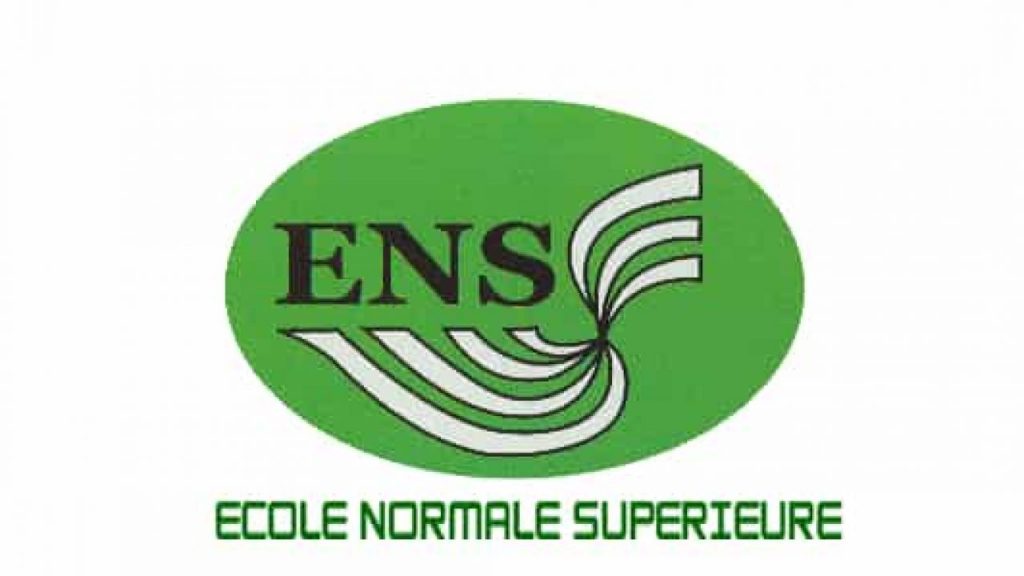 ENS 37022 EXTERNAL STIMULATOR DBS