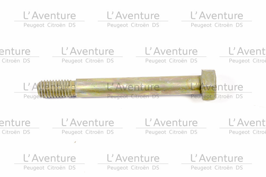 SCREW 54740015535 CN MAS 5.5X35 CC S