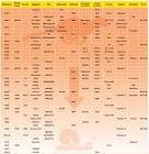 CHART 9400000 XVBR 1.5 SIZING CHART