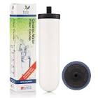 CARTRIDGE 304-09POR PORC HMS WHT