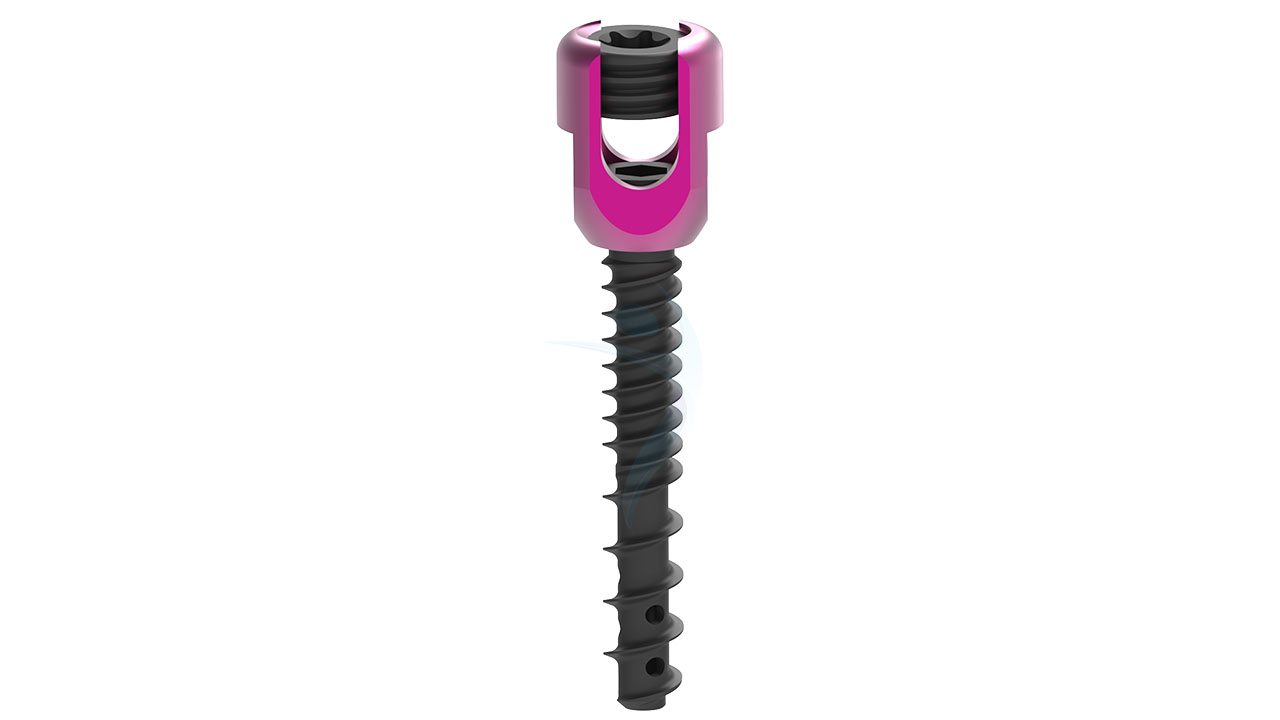 FENESTRATED SCREW 1850093 TRAY