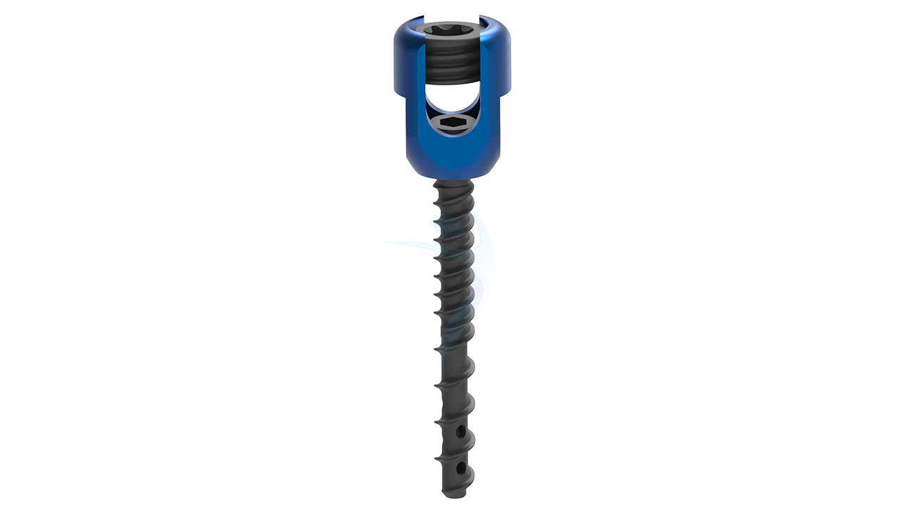 FENESTRATED SCREW 1850093 TRAY