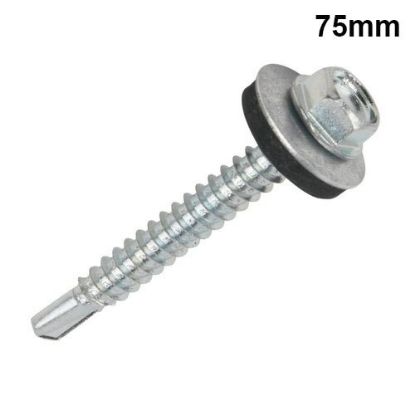 SCREW 7675035 5.5 SHILLA MAS CANN 5.0X35