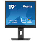 MONITOR MON19 DESKTOP LCD 19IN/48CM