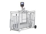 CAGE 2926455 CLYDESDALE 22 6 DEG 14X55