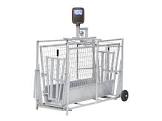 CAGE 2922045 CLYDESDALE 22 12DEG 10X45