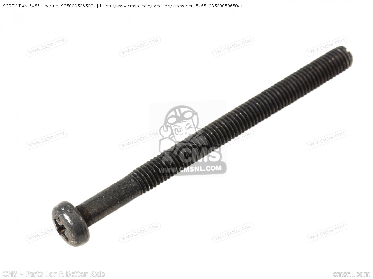 SCREW 55840005035 5.5/6 MAS 5.0X35 CC
