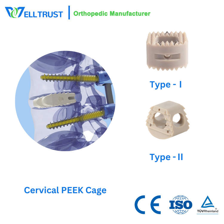 CAGE 6211605 PEEK ANATOMIC 16X14X5