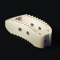 CAGE 6211604 PEEK ANATOMIC 16X14X4