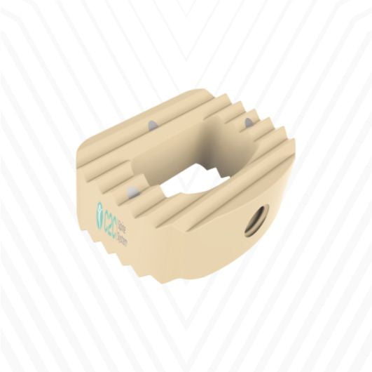 CAGE 6211404 PEEK ANATOMIC 14X11X4