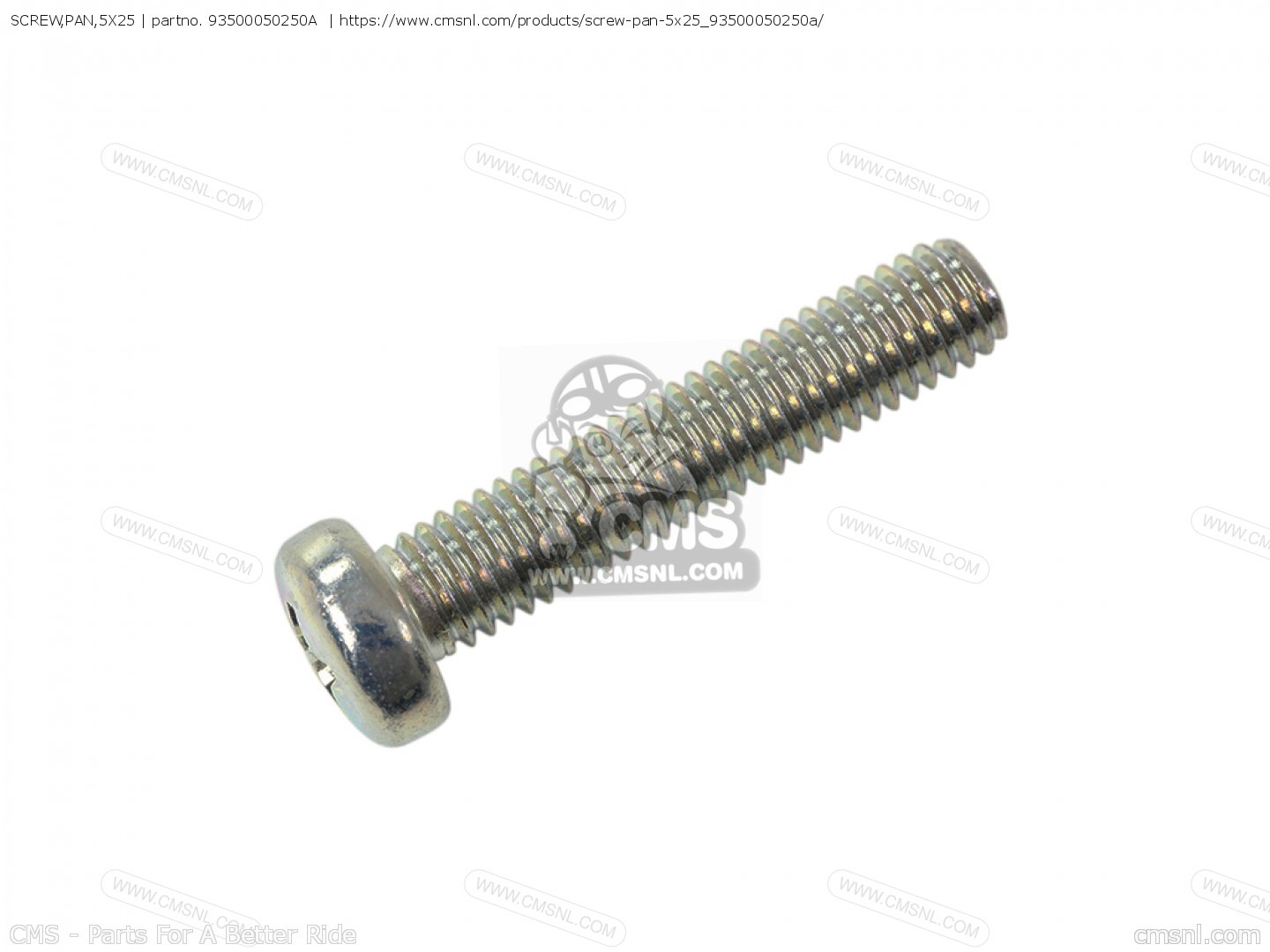 SCREW 55811005025 5.5 SAS 5.0 X 25 CC