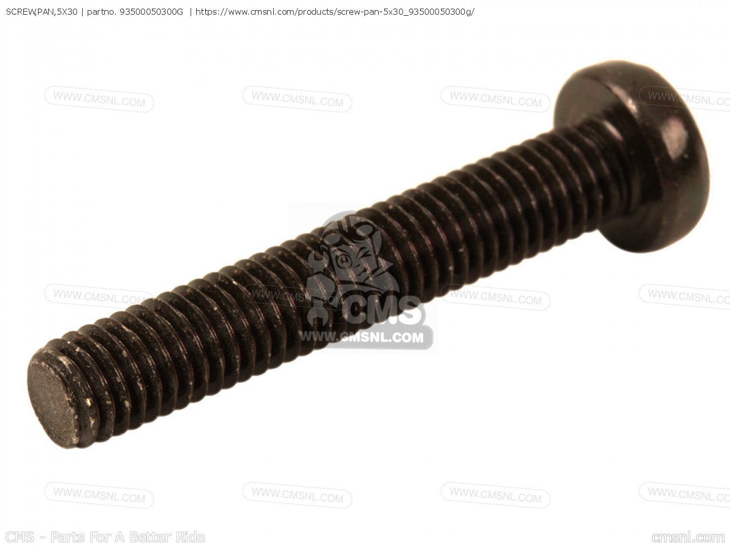 SCREW 55811005030 5.5 SAS 5.0 X 30 CC