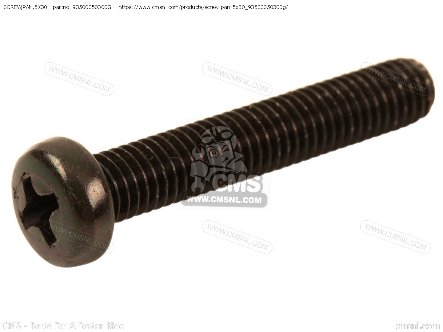 SCREW 55811005030 5.5 SAS 5.0 X 30 CC
