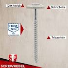 SCREW 55811004545 5.5 SAS 4.5 X 45 CC