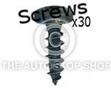 SCREW 55811006530 5.5 SAS 6.5 X 30 CC