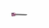 SCREW 55811005530 5.5 SAS 5.5 X 30 CC