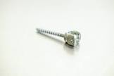 SCREW 55811005540 5.5 SAS 5.5 X 40 CC