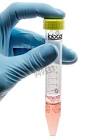 DELIVERY TUBE 7509002 SMALL 15 DEG