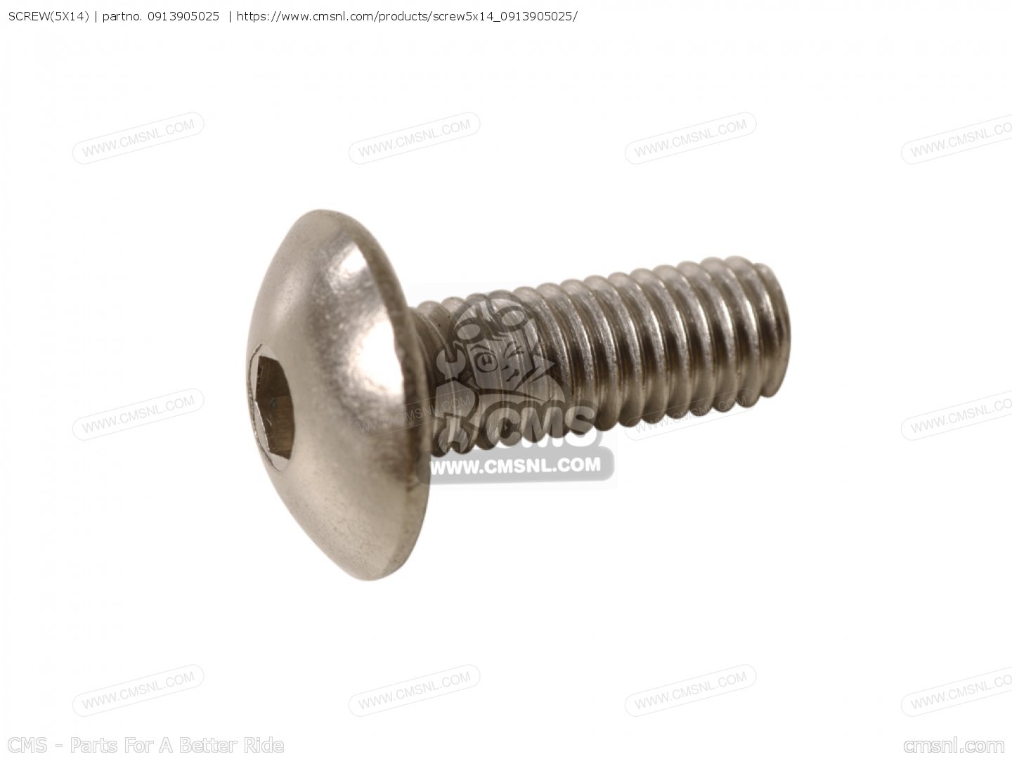 SCREW 55740014540 5.5/6.0 CNMAS 4.5X40 S