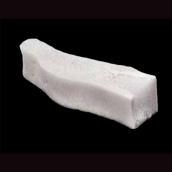 TISSUE T00210INT ILIUM TRICORT BLK MED