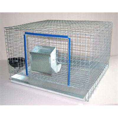 CAGE 2620924 WAVE D 9MM X 24MM 12DEG